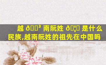 越 🐳 南阮姓 🦆 是什么民族,越南阮姓的祖先在中国吗